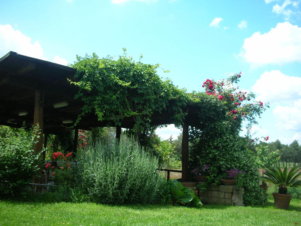 Podere Le Chiuse Сована Экстерьер фото