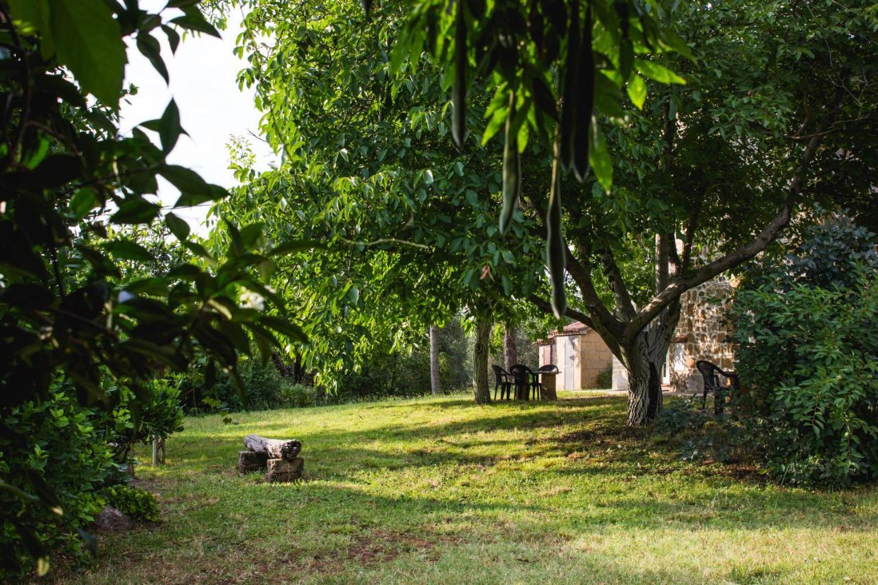 Podere Le Chiuse Сована Экстерьер фото